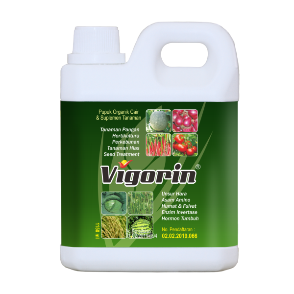 VIGORIN